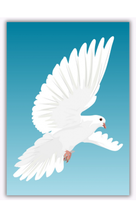 Desenli Kağıt-255