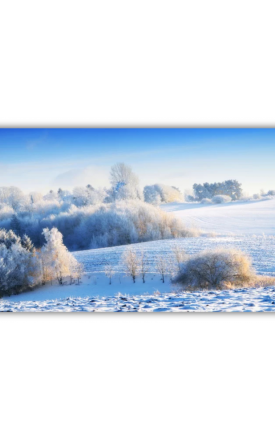 Kartpostal-20